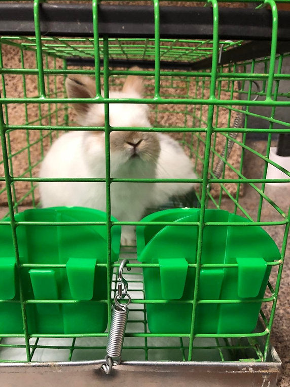 Junior EZ Snap Coop Cup