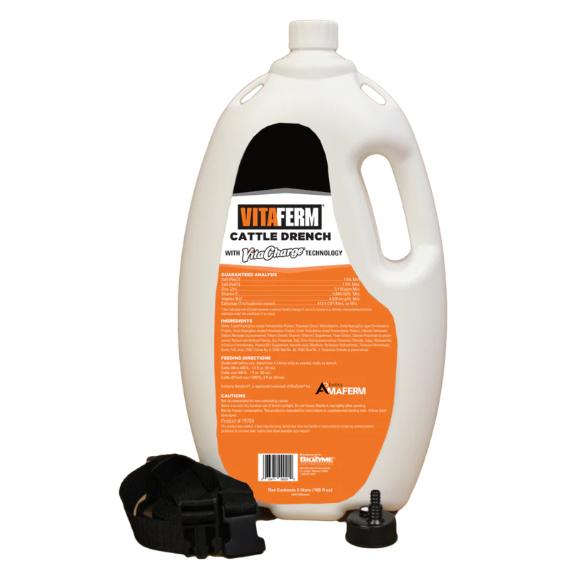 SureChamp Cattle Drench