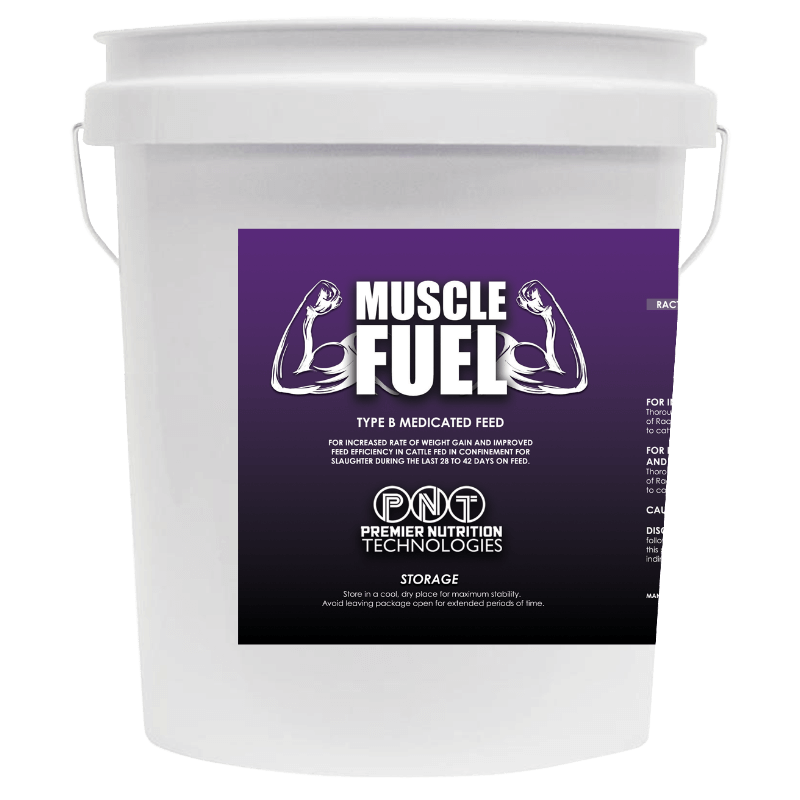 Muscle Fuel