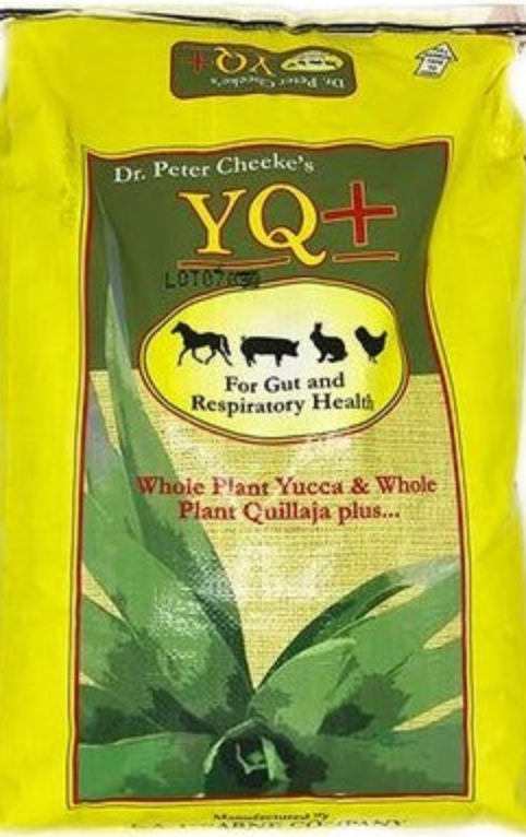 Dr. Cheeke's YQ+