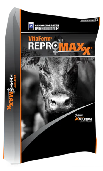 VitaFerm Repromaxx