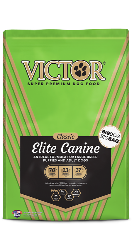 Victor Elite (Green/Black)