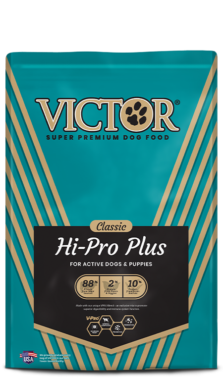 Victor Hi Pro Plus 30-20 (Teal)