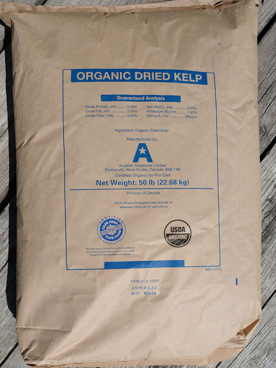Kelp Meal
