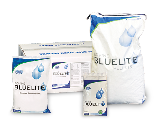 BlueLite (Cattle)