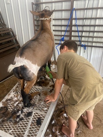 Clipper Blade Storage