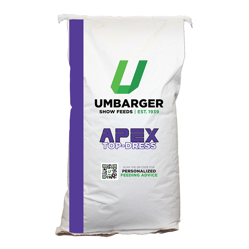 Umbarger Apex 40#