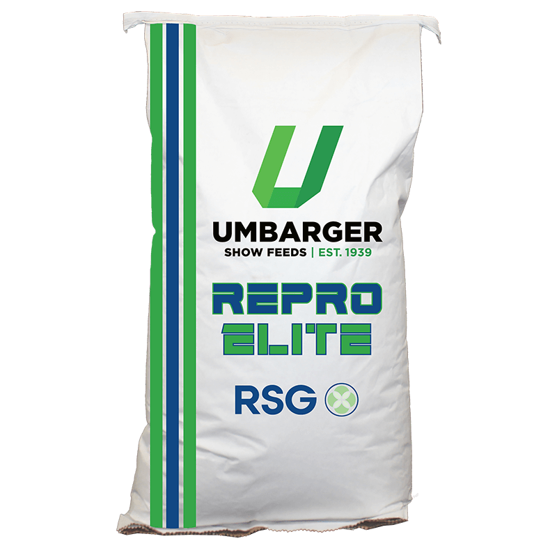 RSG Customize Balancer Pellet