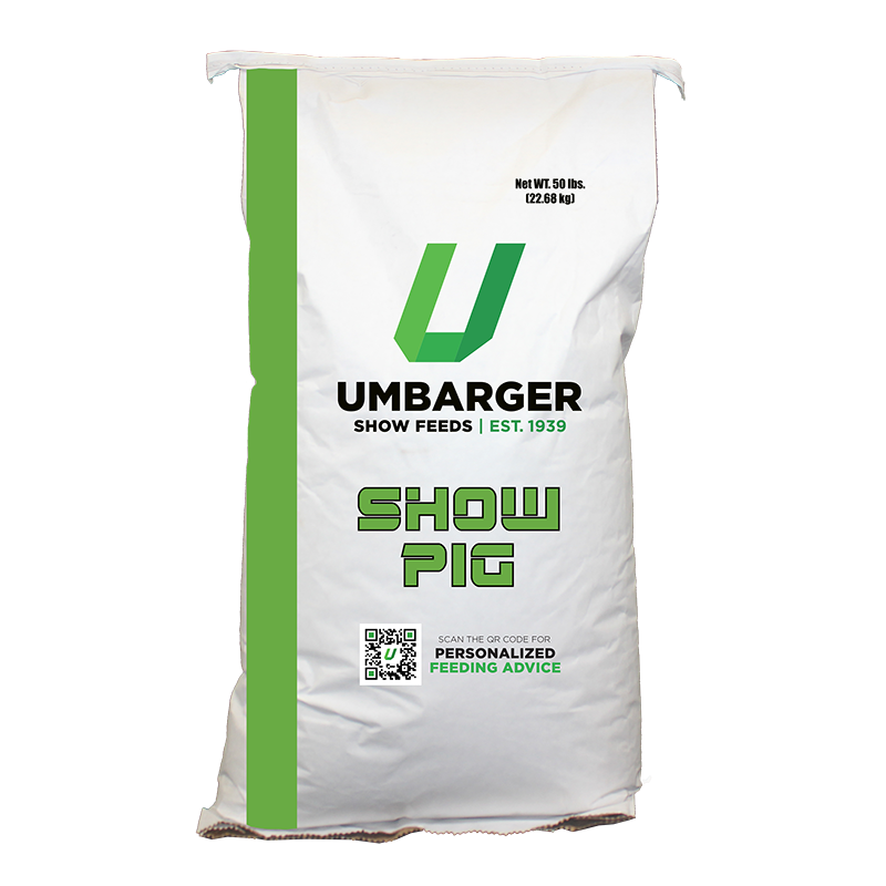 Umbarger Clutch