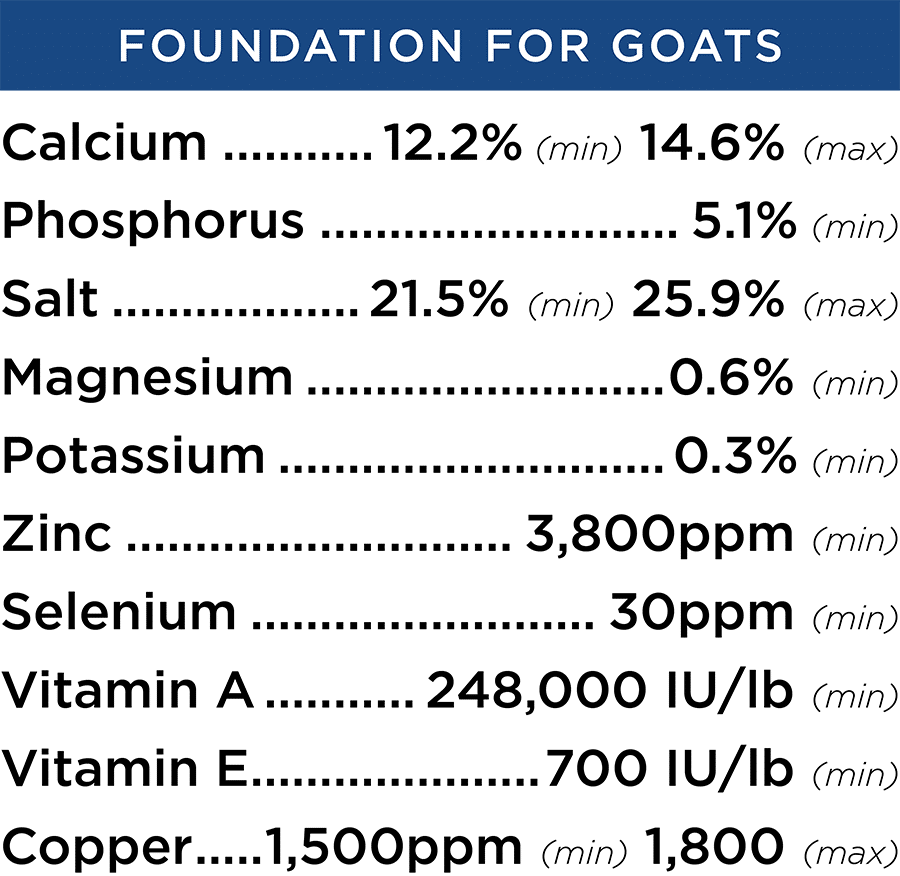 RSG Foundation Mineral Goat