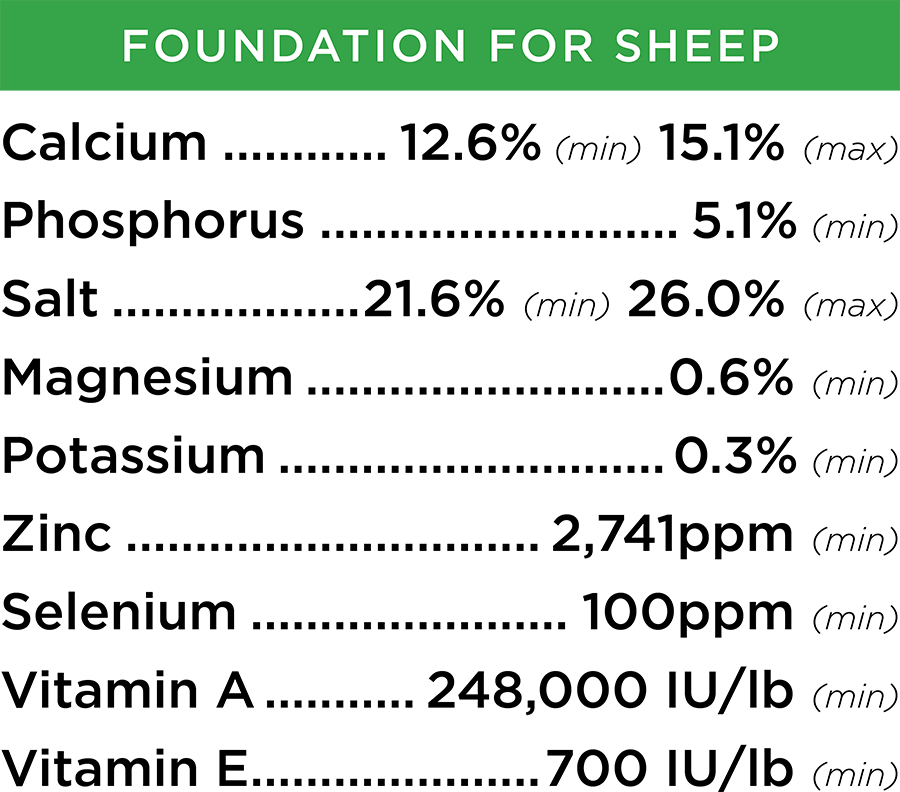 RSG Foundation Mineral Sheep