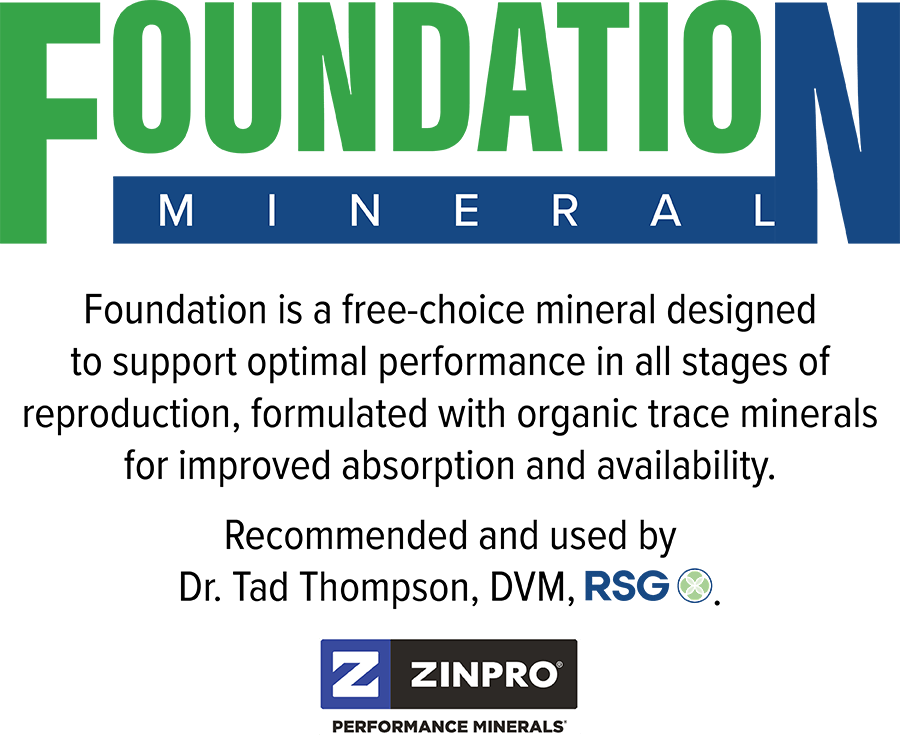 RSG Foundation Mineral Sheep