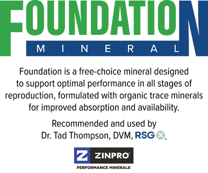 RSG Foundation Mineral Sheep