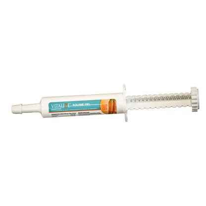 VitaliZe Equine Recovery Gel