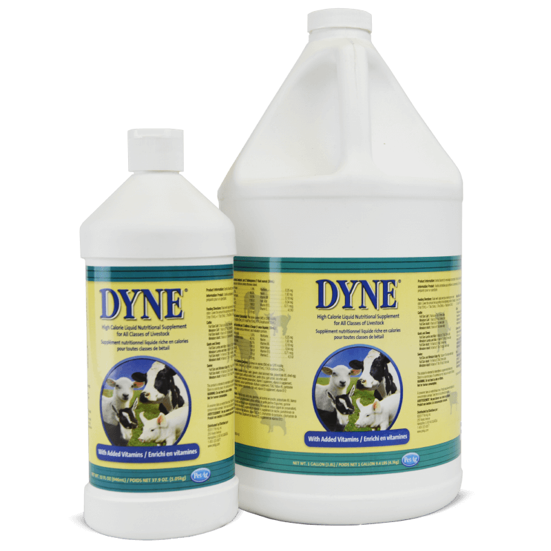 Dyne Liquid Supplement