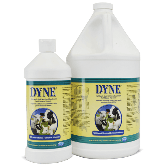 Dyne Liquid Supplement