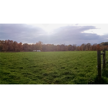 Enduro Plus Premium Pasture Mix **Pre-Inoculated**