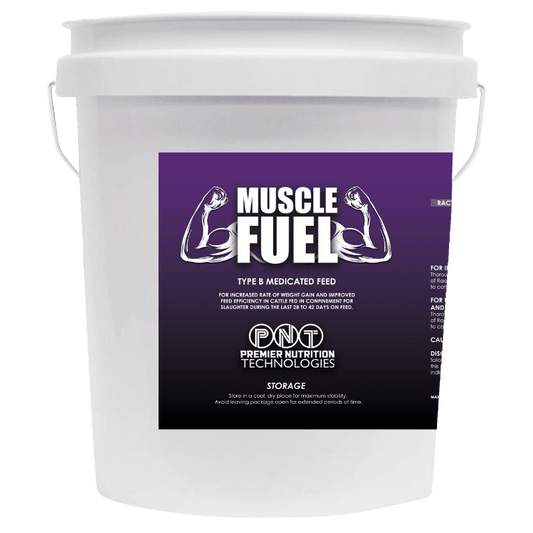 Muscle Fuel
