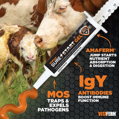 VitaFerm Sure Start Gel