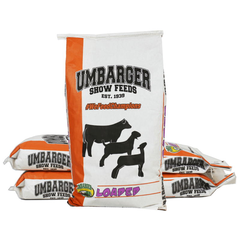 Umbarger Loaded
