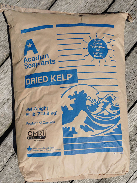 Kelp Meal