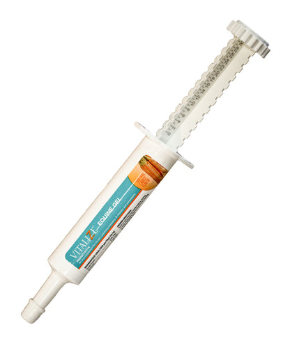 VitaliZe Equine Recovery Gel